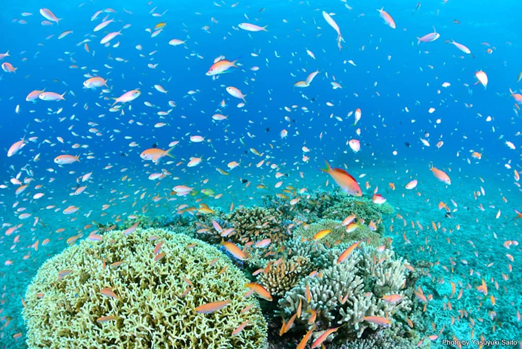 Pinaisara Falls Trek