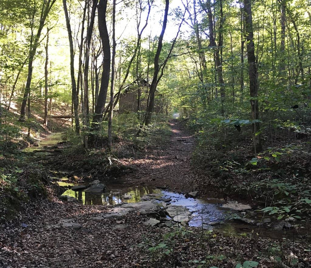 Nature Trails