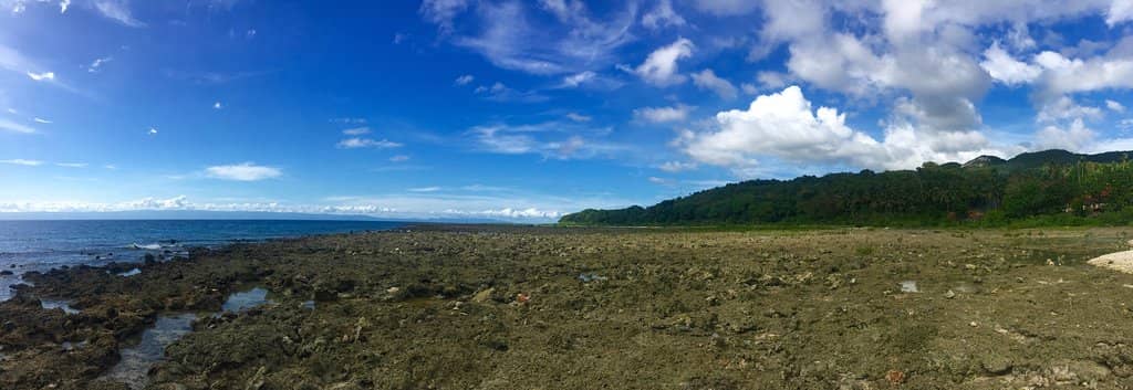 Newly Formed Coastline