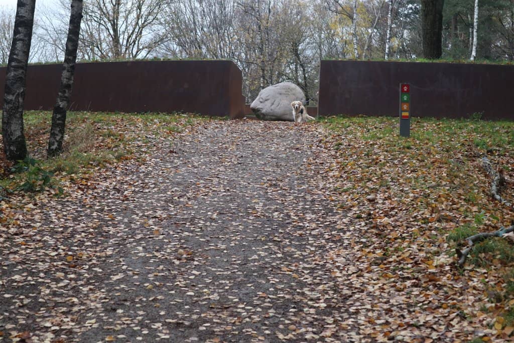 Veluwe Forest Trails