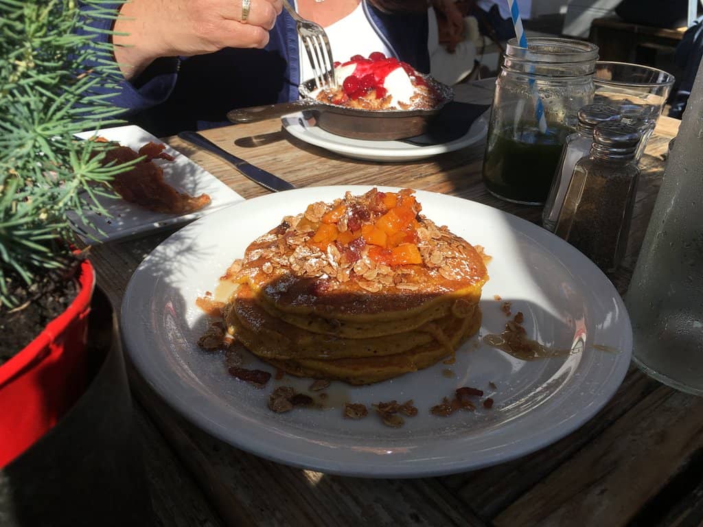 Pet-Friendly Outdoor Seating