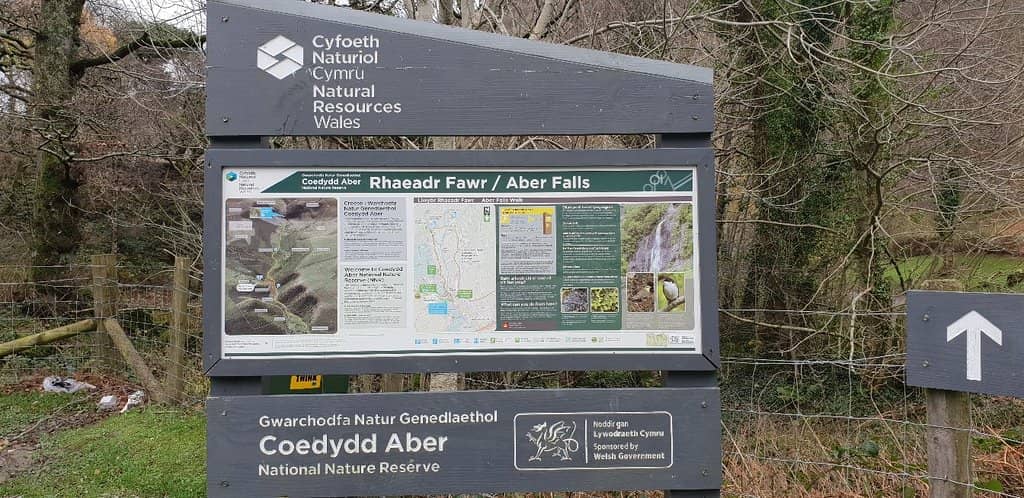 Interpretive Display Building