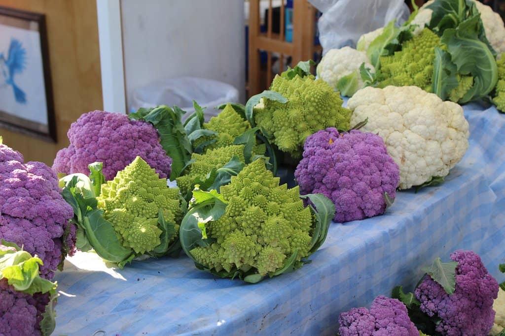 Prepared Food & Local Delights