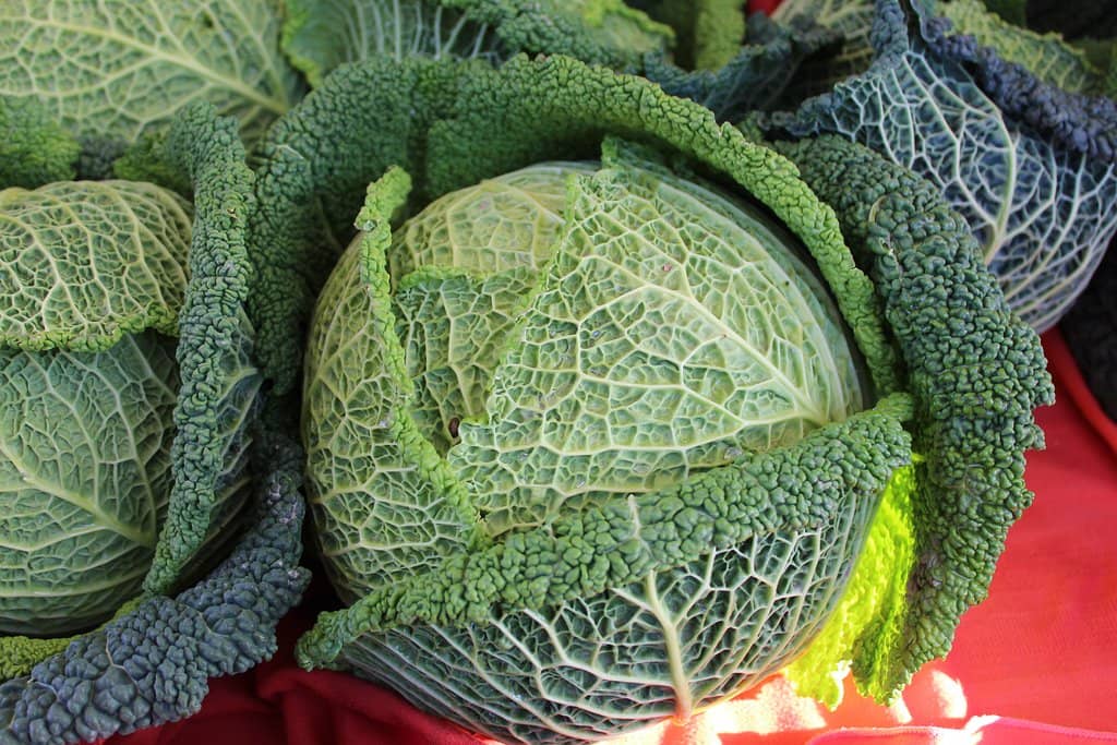 Artisanal Crafts & Goods