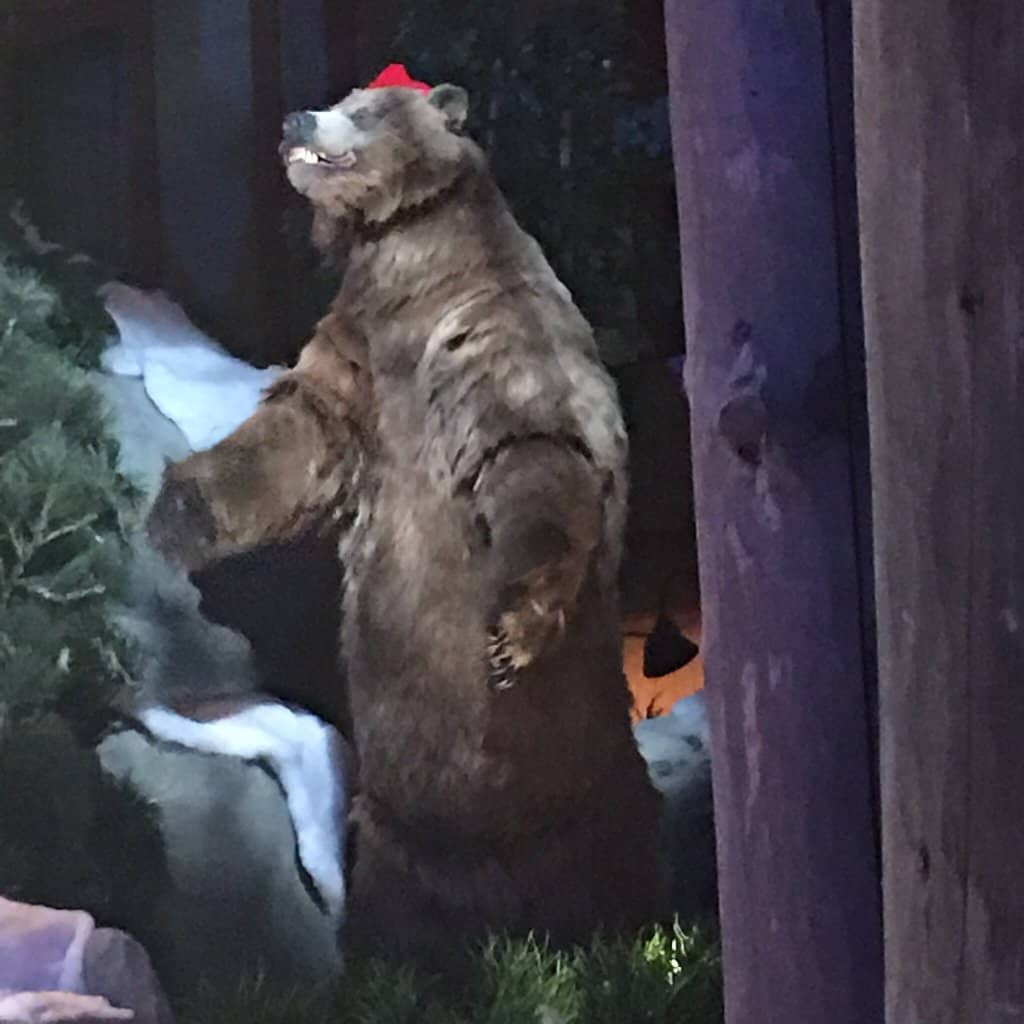 Hourly Laser Light Shows