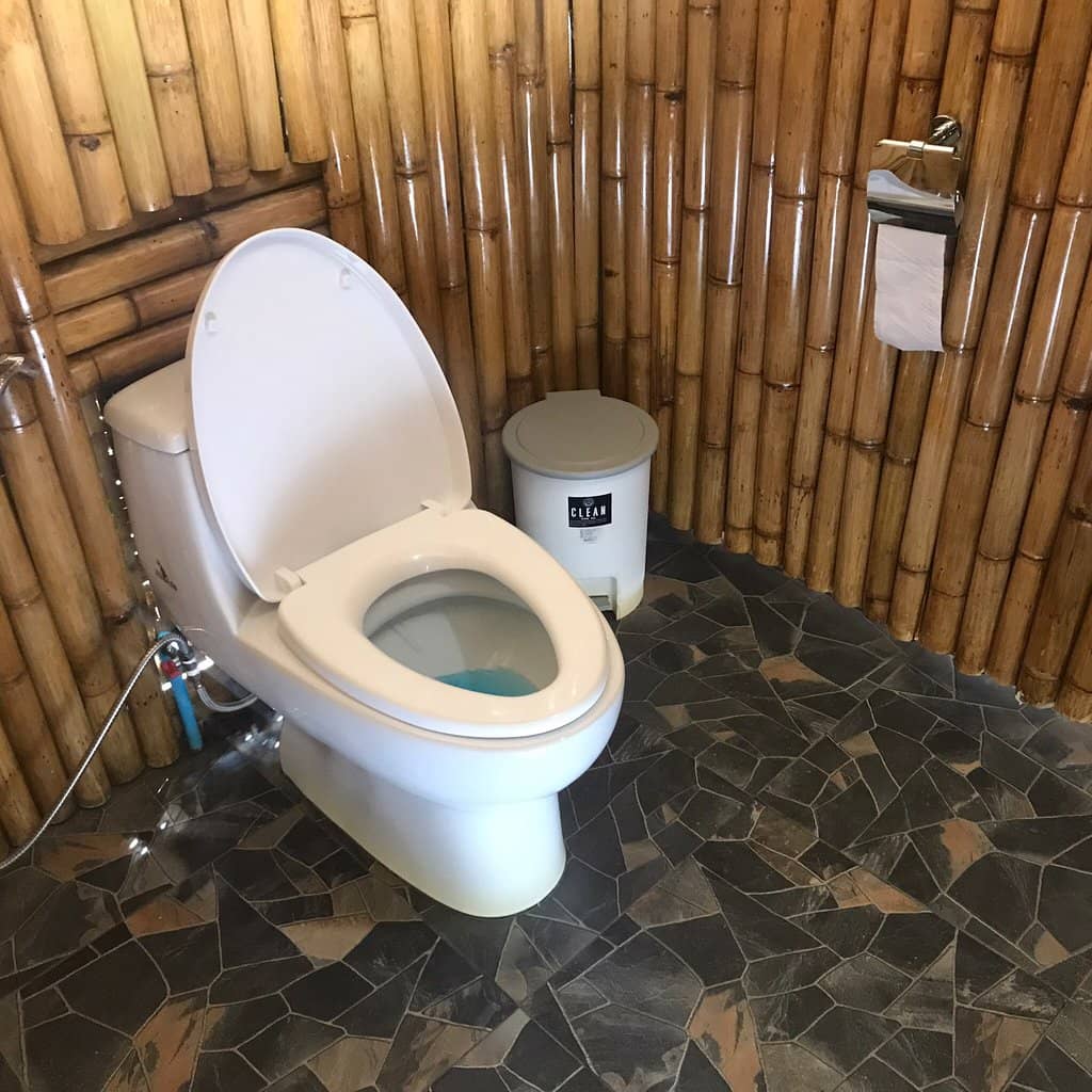 Meet Rescued Elephants