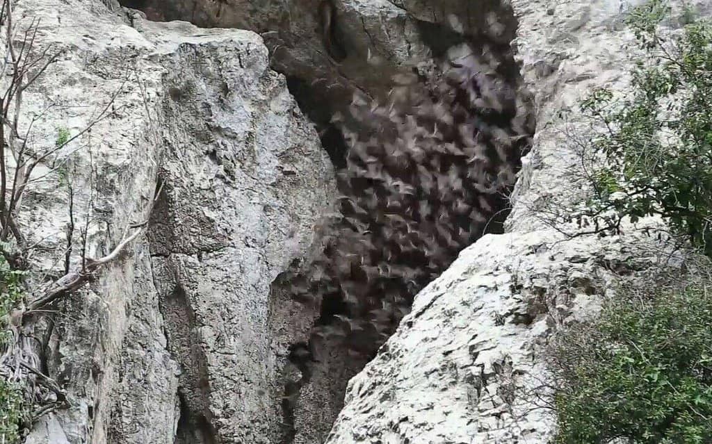 Archeological Discoveries