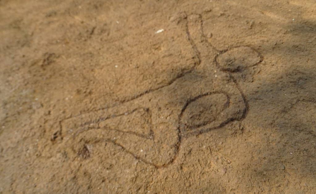 Zebu Bull Engravings