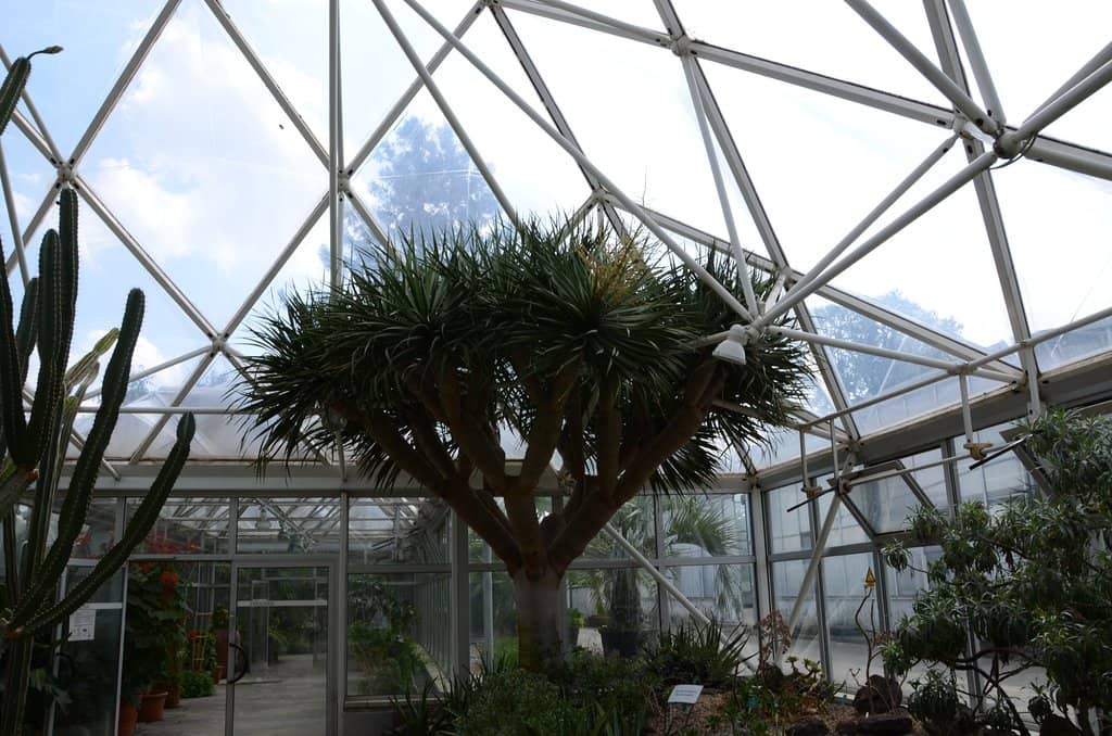 The Waterfall & Geological Wall