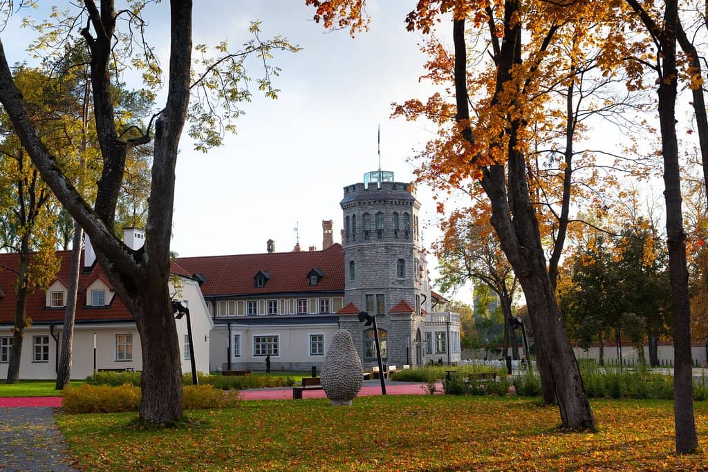 Artifacts & Exhibits