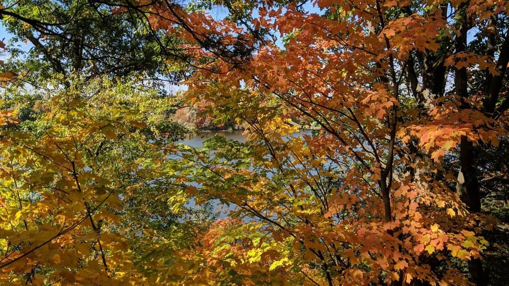 Five Levels of Challenge