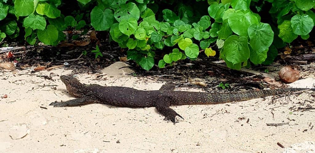Crystal Clear Waters