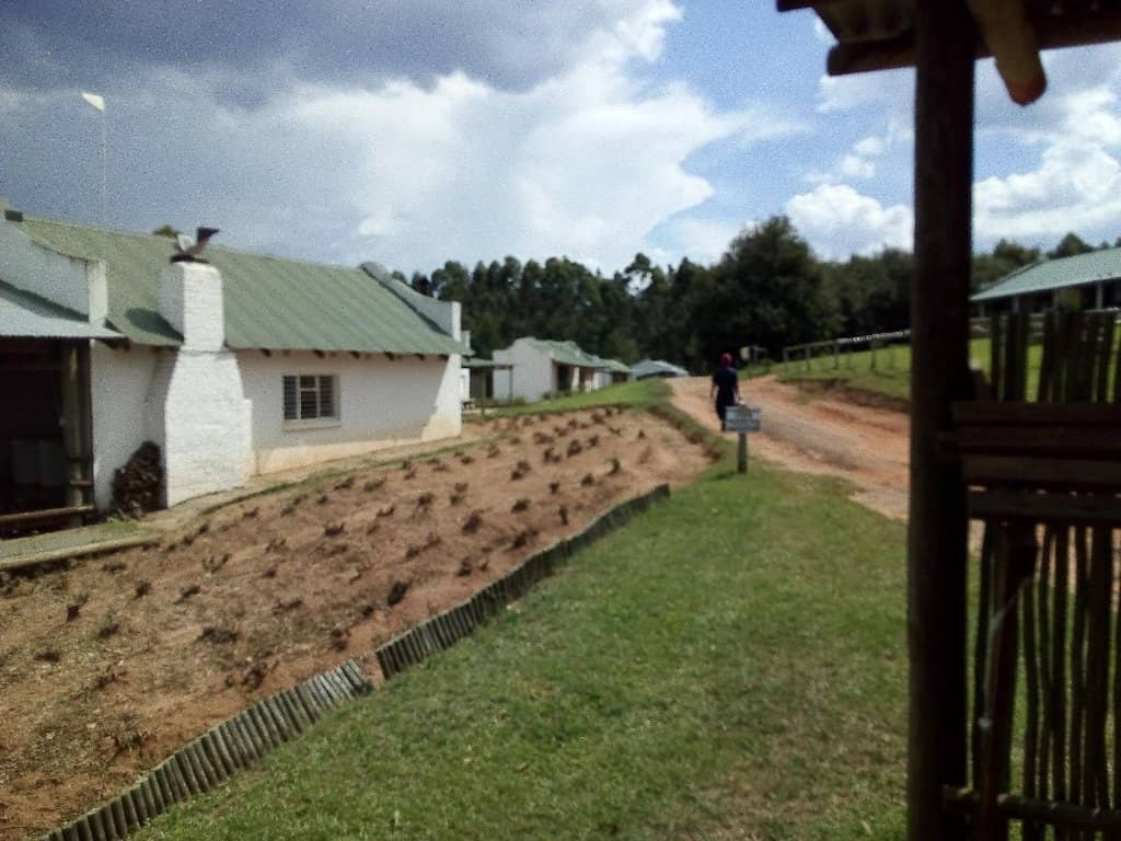 Silk Production Process