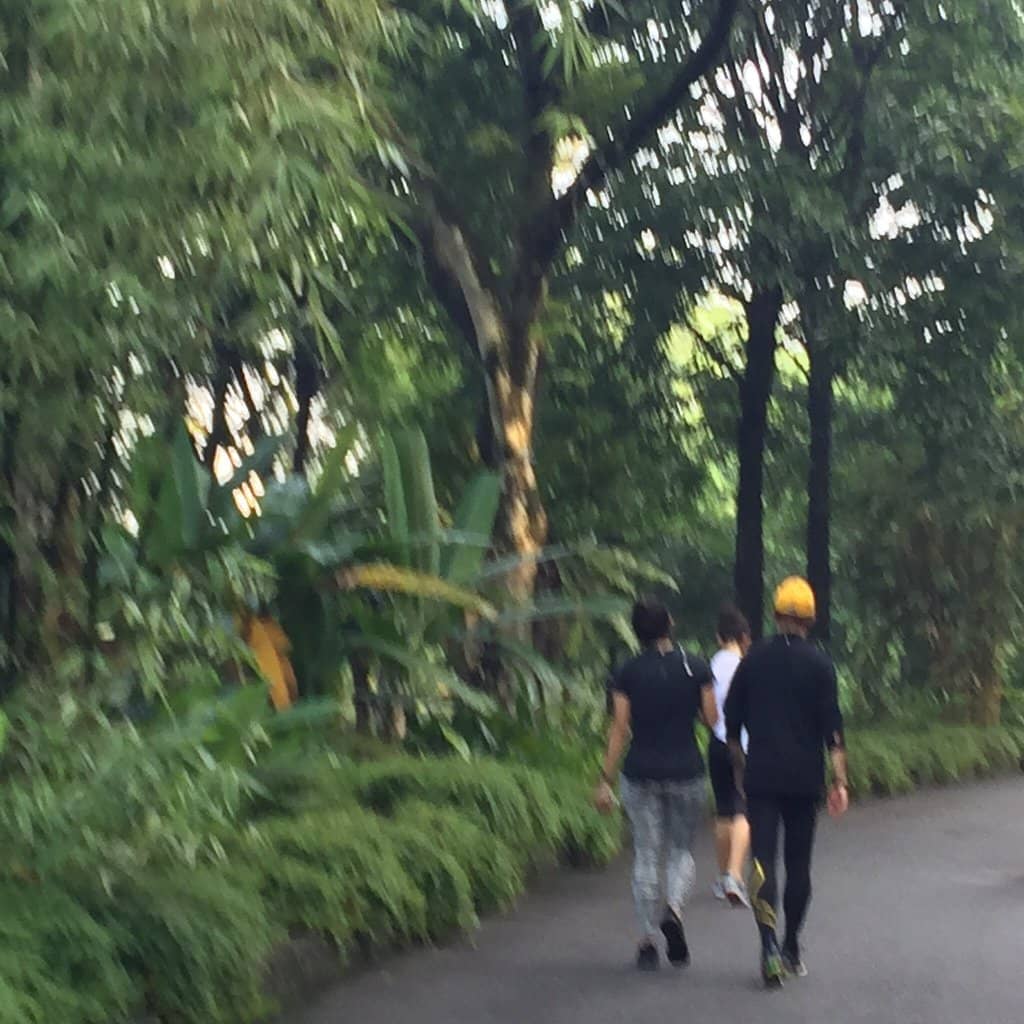 Shady Exercise Spots