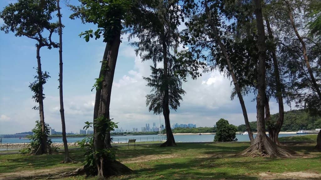 Untouched Southern Coast