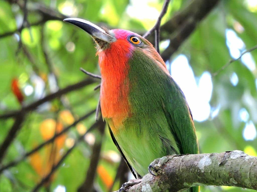 Breathtaking Sunset Views