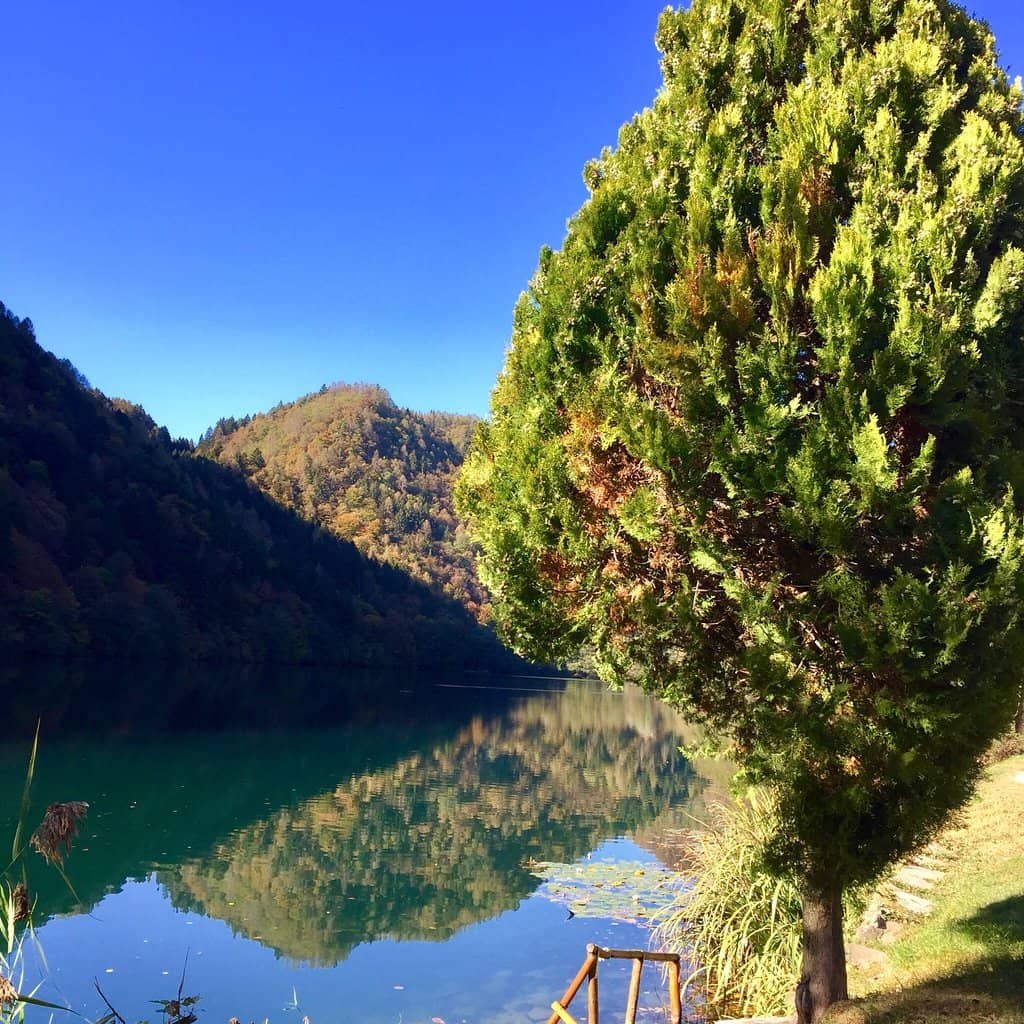 Hidden Swimming Havens