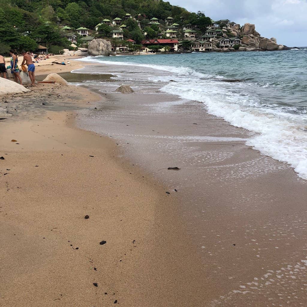 Blacktip Reef Sharks