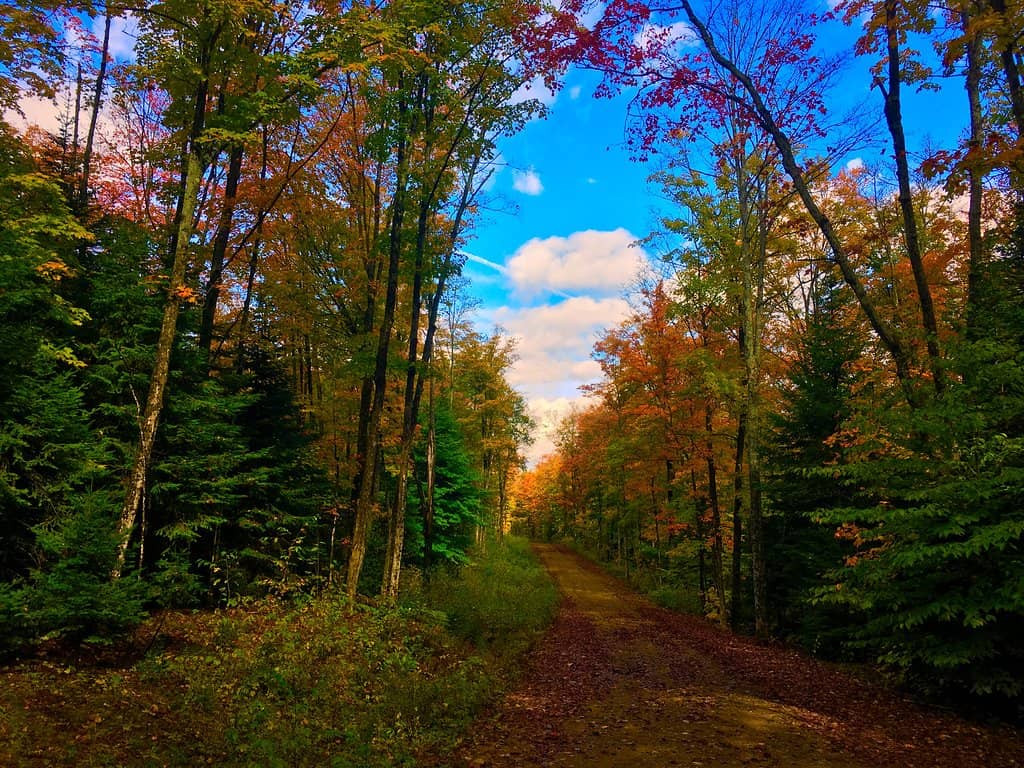 Private Lakes Exploration