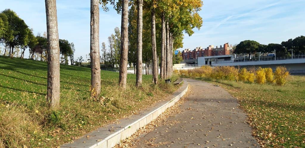 Sports and Fitness Zones