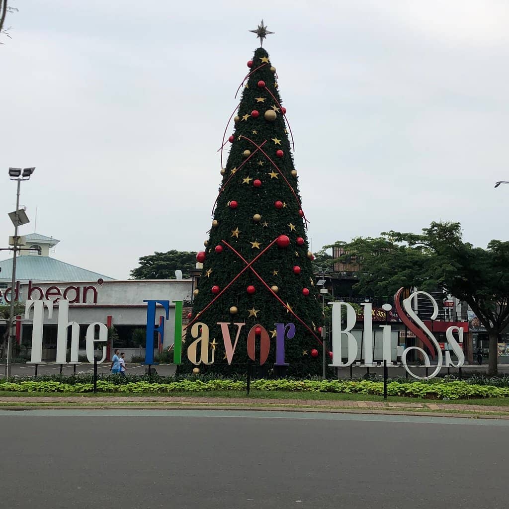 Weekend Events & Live Music