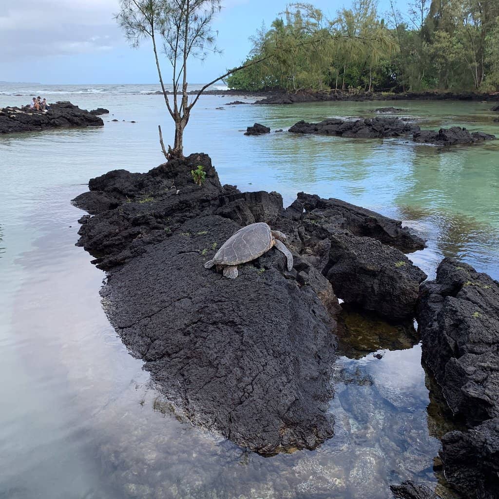Tranquil Lagoons