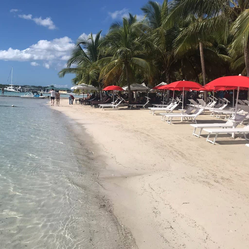 Community Clean-Up Efforts