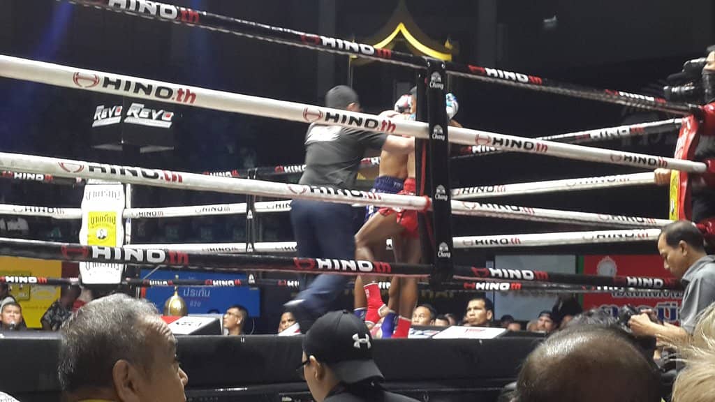 Live Muay Thai Action