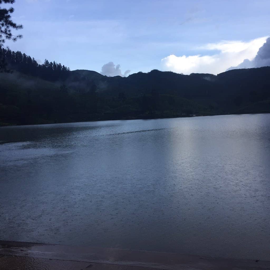 Natural Swimming Pool