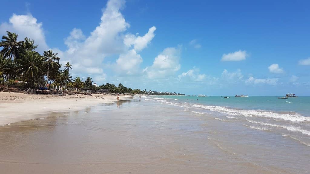 Instagrammable Boardwalks