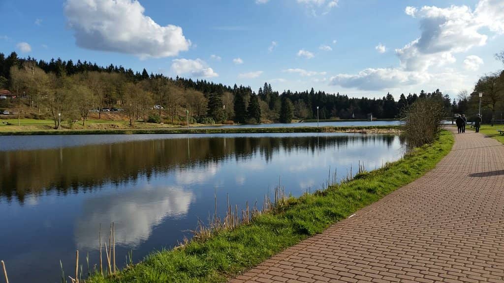 Panoramic Harz Views