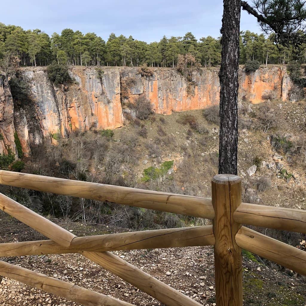 Pino Candelabro