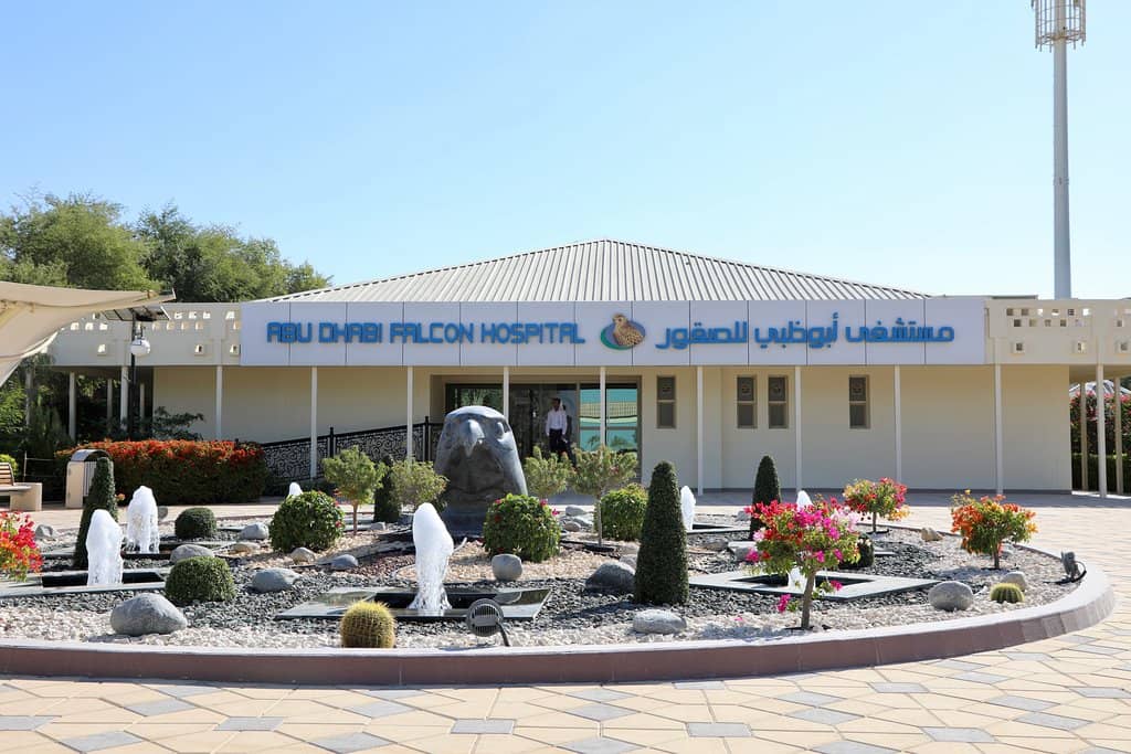 Feather Grafting Demonstration