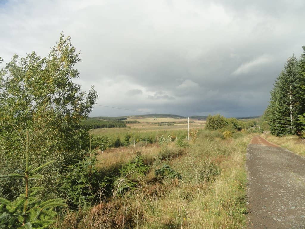 Mountain Bike Pump Track