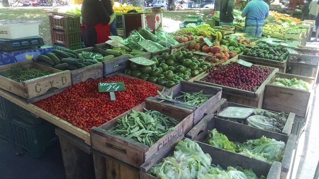 Family & Pet-Friendly Fun