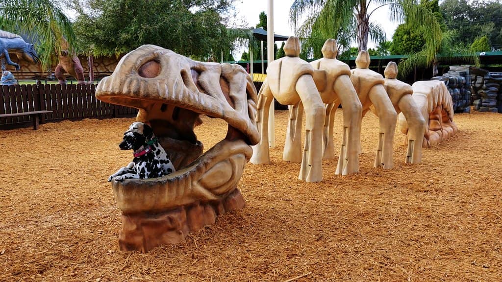 Fossil Dig & Gem Mining