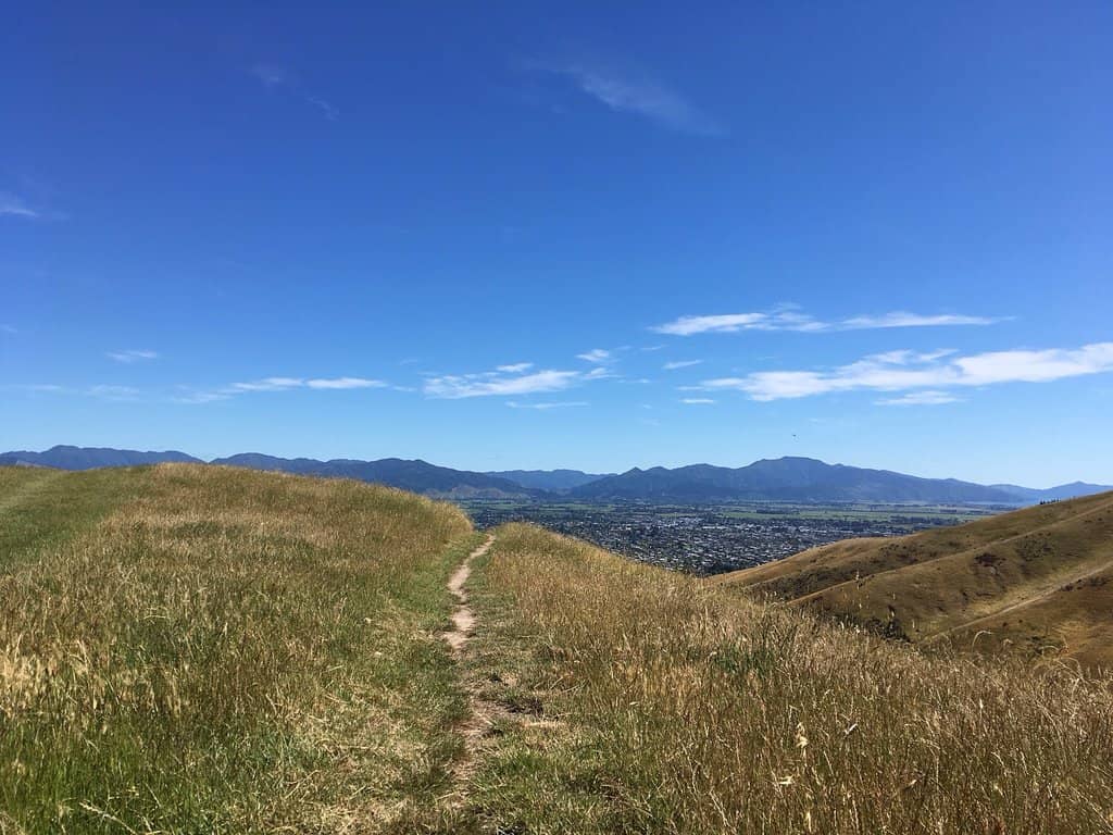 Mountain Biking Trails