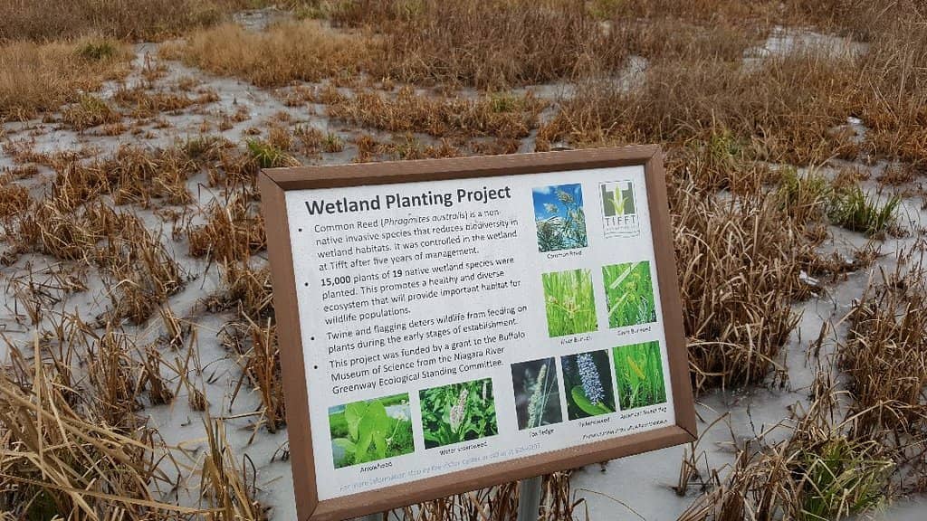 Wildlife Sightings