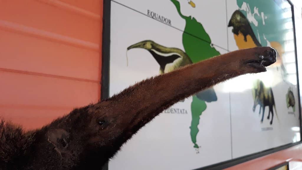 Vila Cenográfica de Santa Luzia