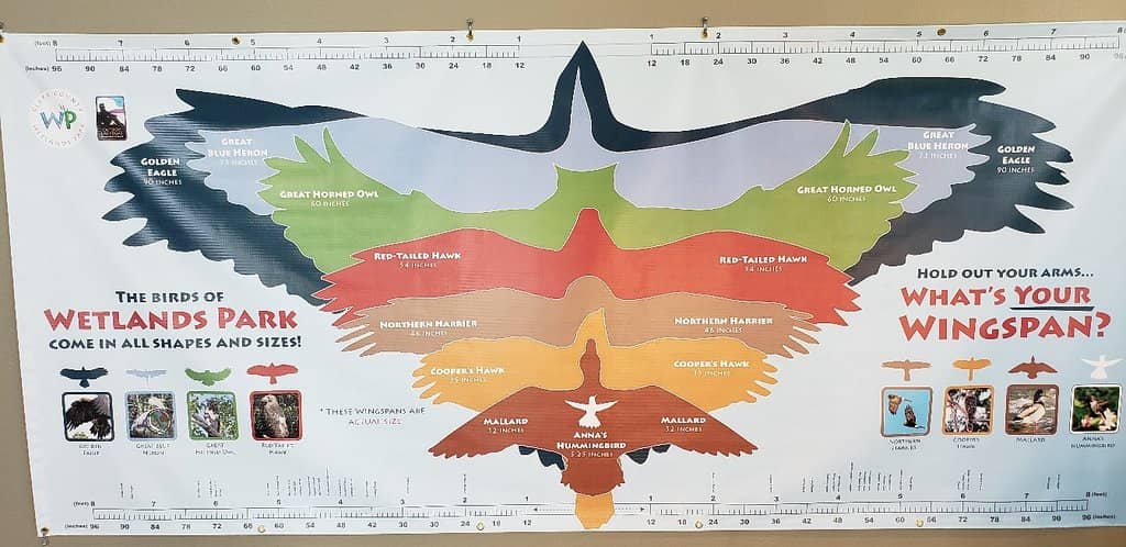 Birdwatcher's Paradise