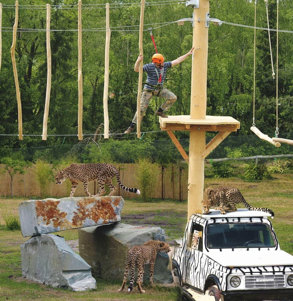 Amusement Park Rides