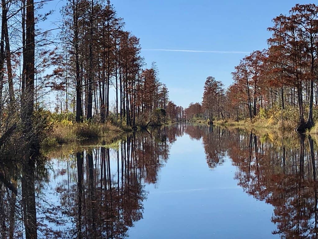 Boat Tours with Local Guides