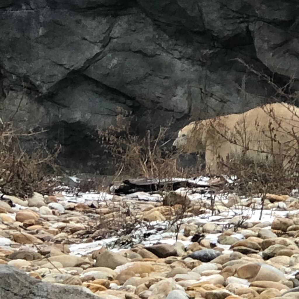 Animated Film Studio