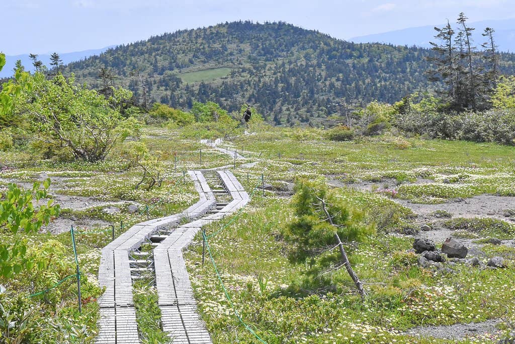 Powder Snow Experience