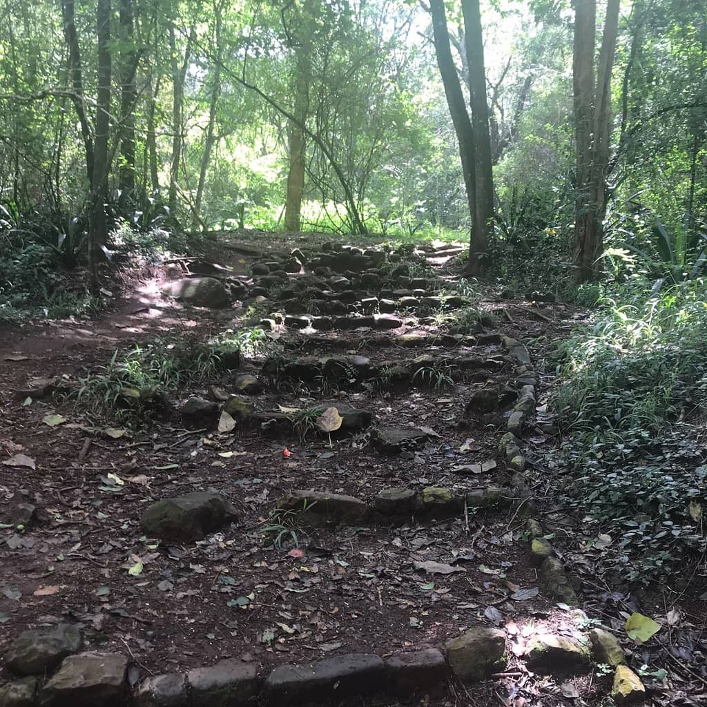 Horticulture & Forestry Hub
