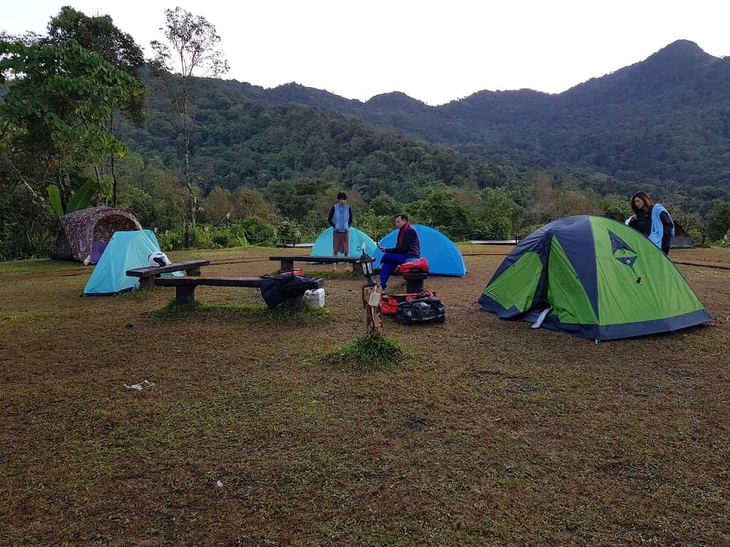 Doi Phu Kha Newt