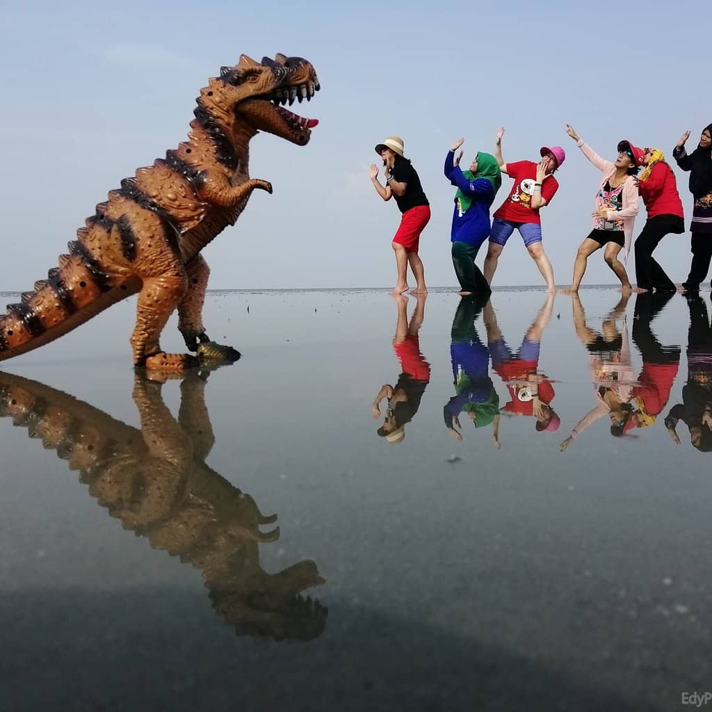 The Reflective Surface