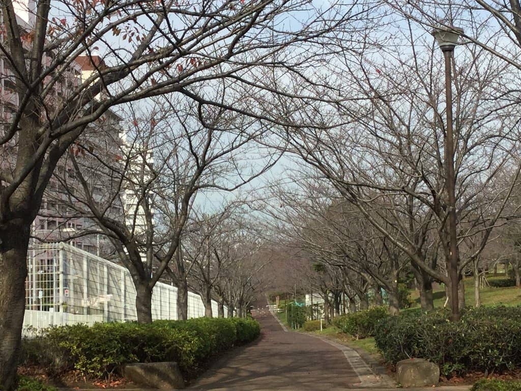 Cycling Paradise