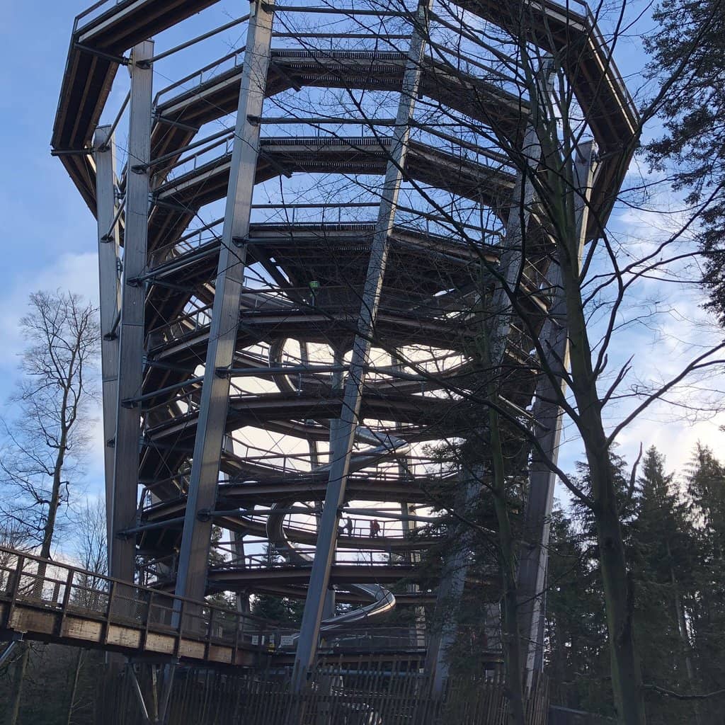 Vertical photo