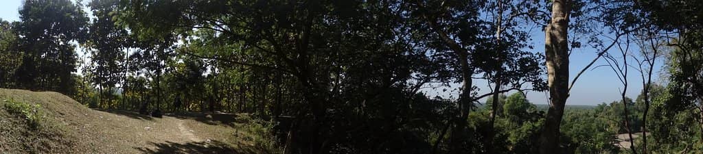 Vertical photo